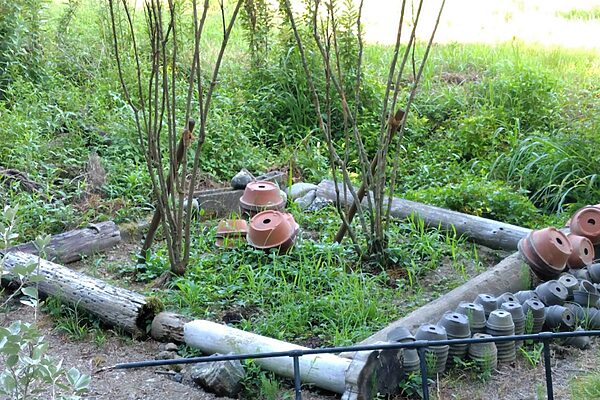 後悔しない！組み立て式「レイズベッド」のおすすめ5選と相性の良い野菜ガイド