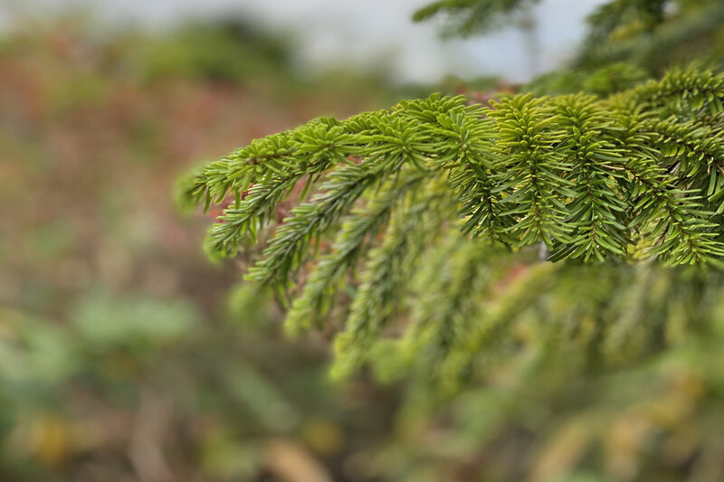 サウンド・マッピング