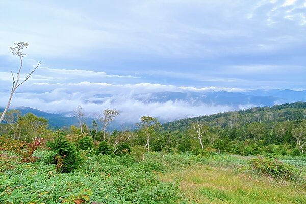 その森には音の地図がある。耳を研ぎ澄ませる「サウンド・マッピング」のススメ