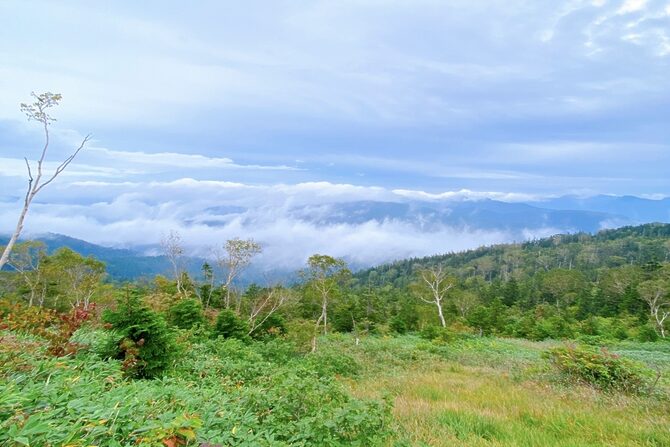 その森には音の地図がある。耳を研ぎ澄ませる「サウンド・マッピング」のススメ