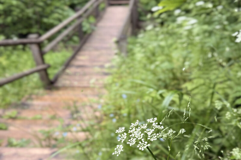 サウンド・マッピング