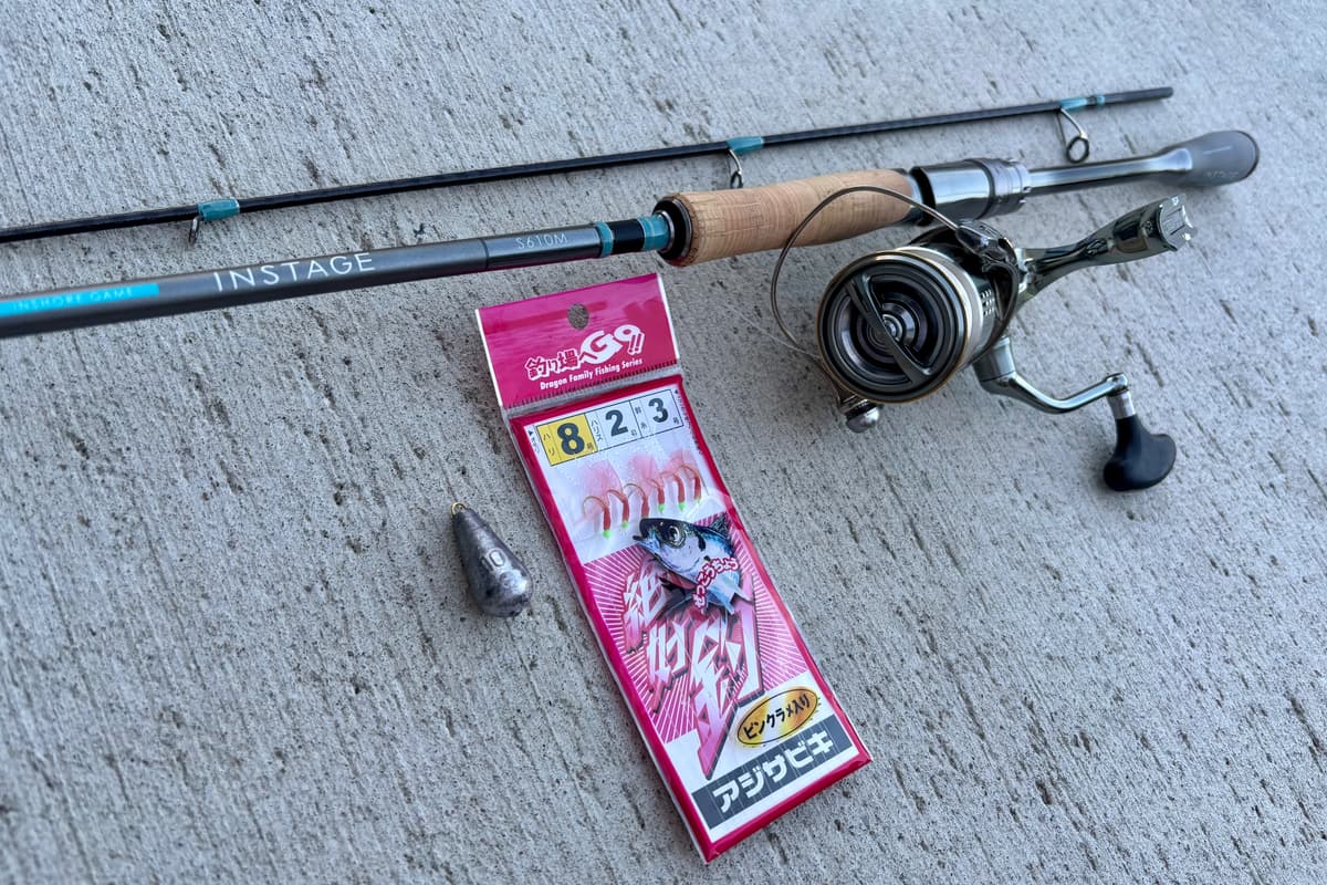 ショットガンアジングの紹介