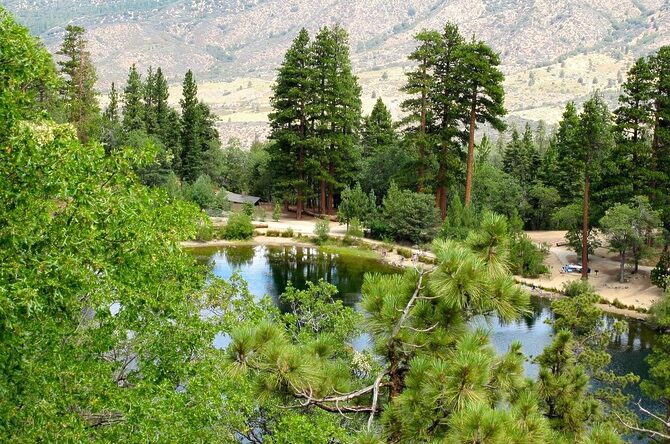 この夏すぐに実践したい！自然と調和する“サステナブルキャンプ”のはじめ方