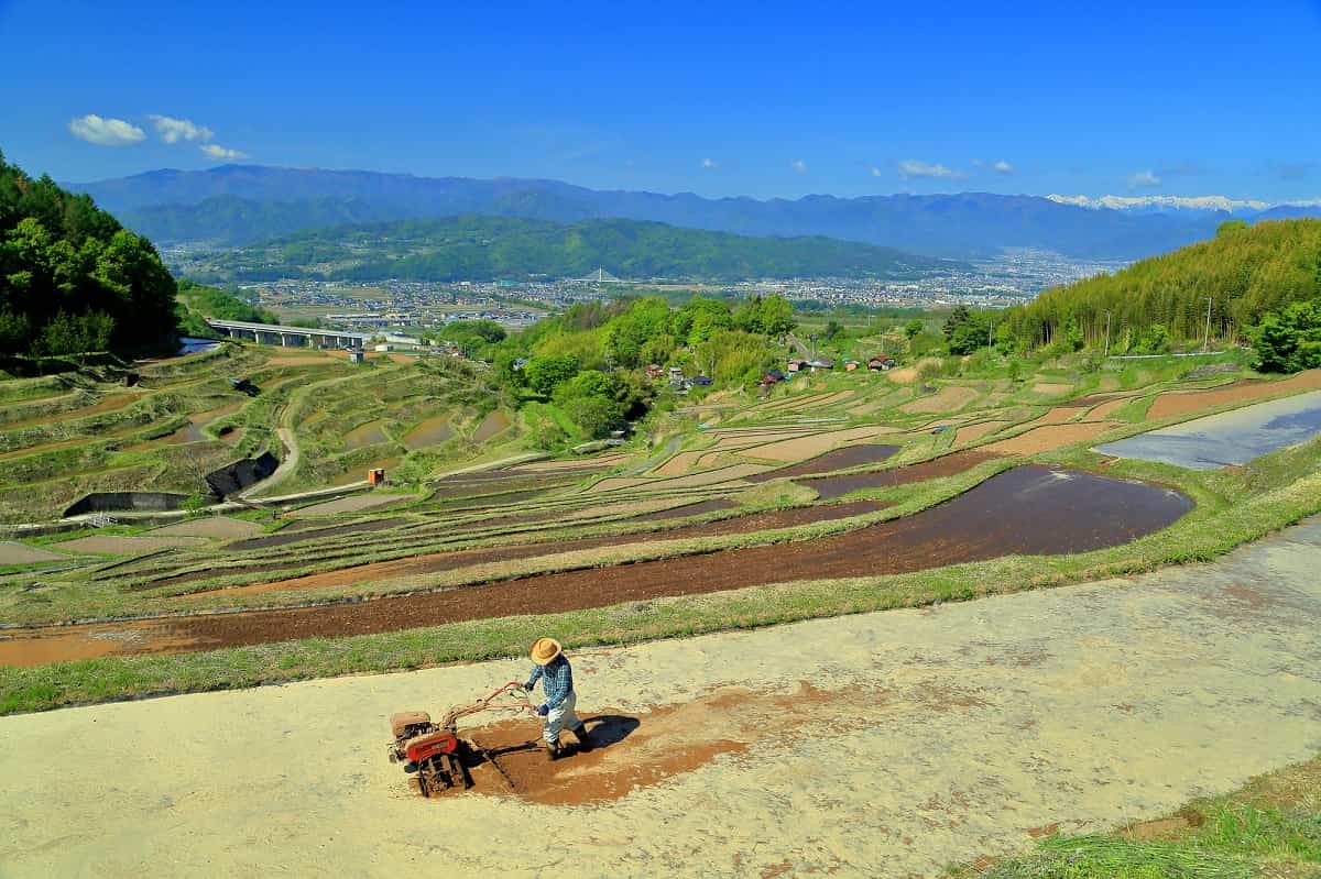 田んぼ　キャンプ