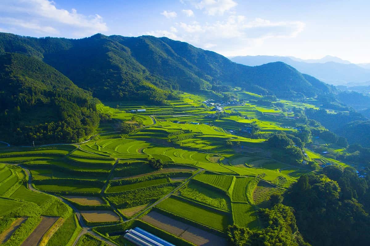 田んぼ　キャンプ