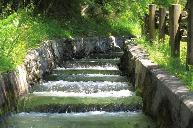 魚が減った川、増えています。 河川改修が映す釣り環境のリアル