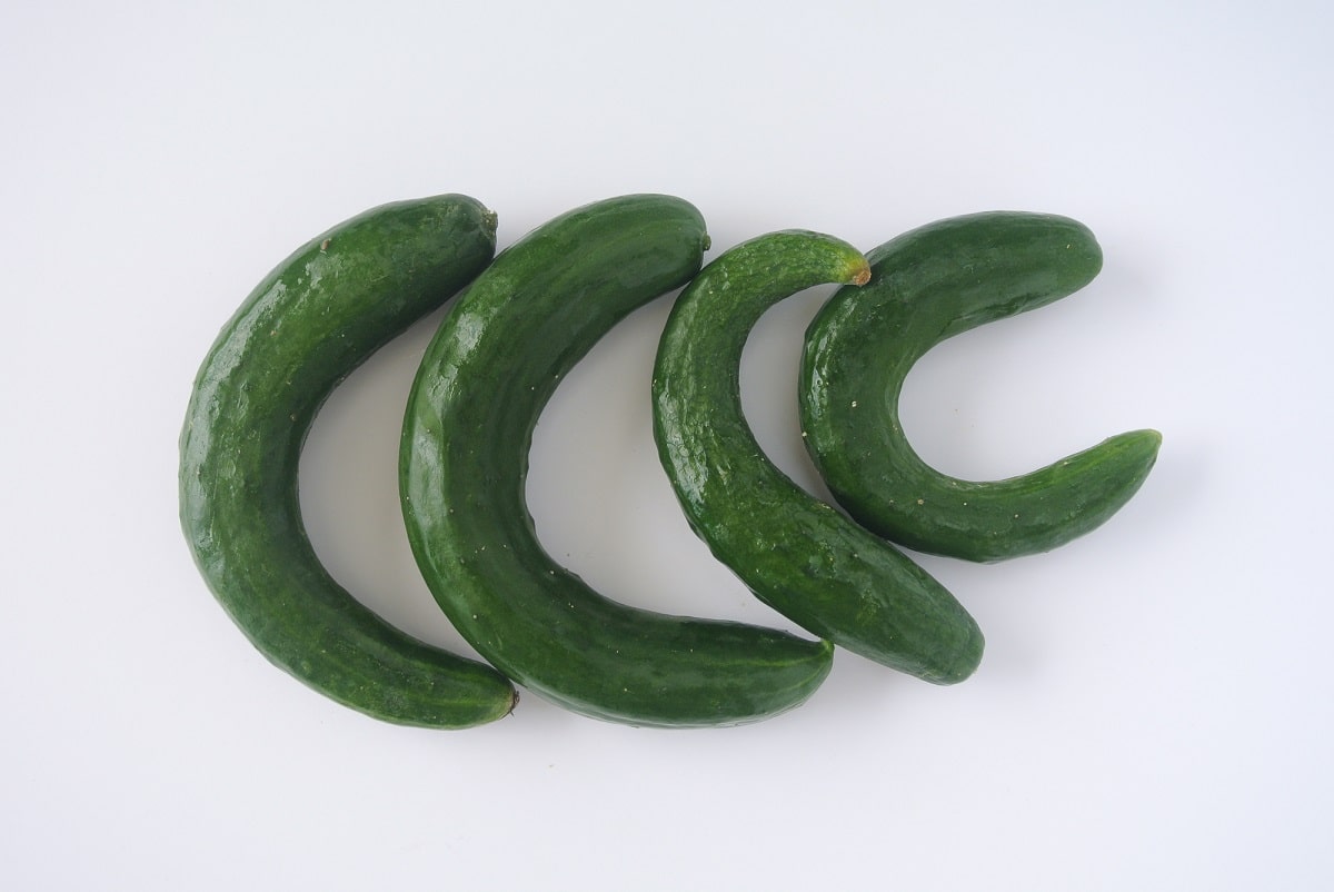 規格外野菜　フードロス