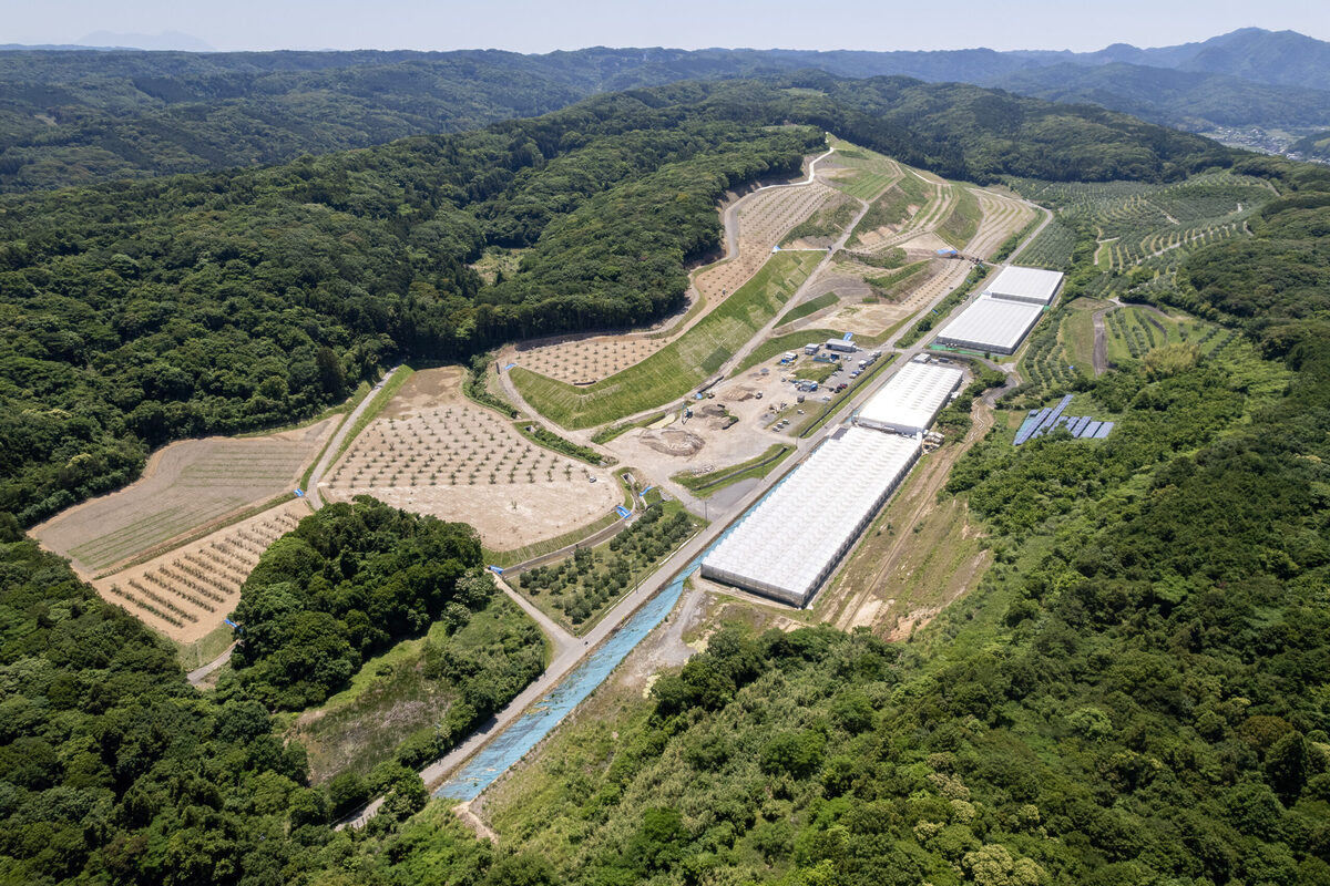 国東で——オーガニックコットンを彩る「オリーブ染め＆ランチ」イベント開催
