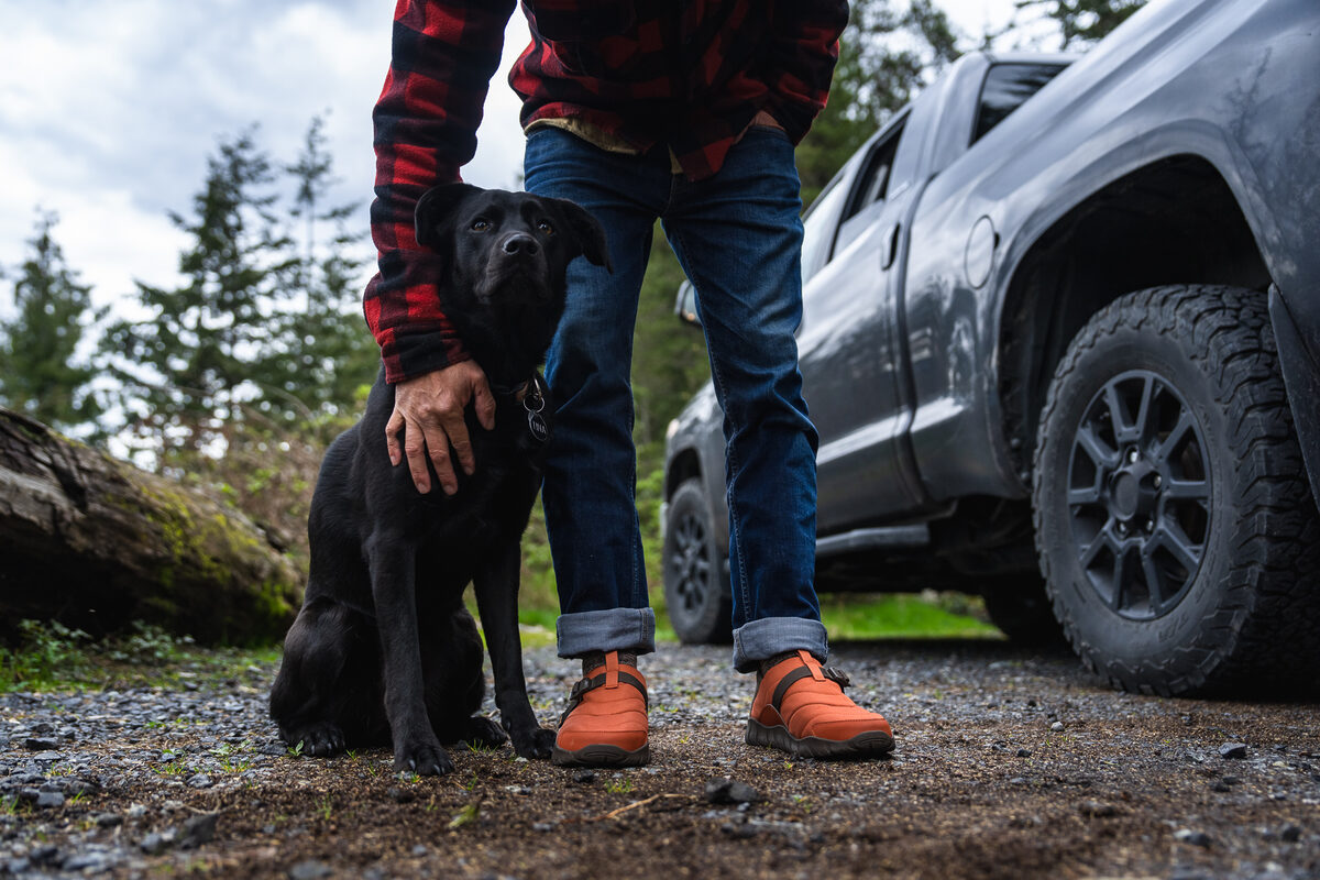 新モデル「 ReEmber Camp 」登場