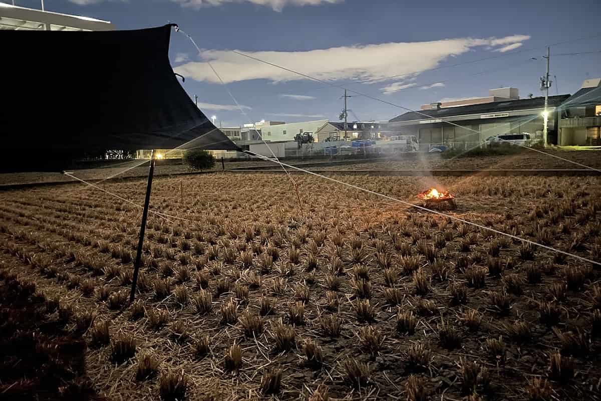 田んぼ　キャンプ