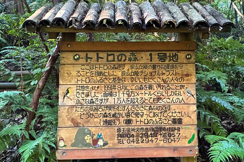 トトロの森 ナショナルトラスト運動
