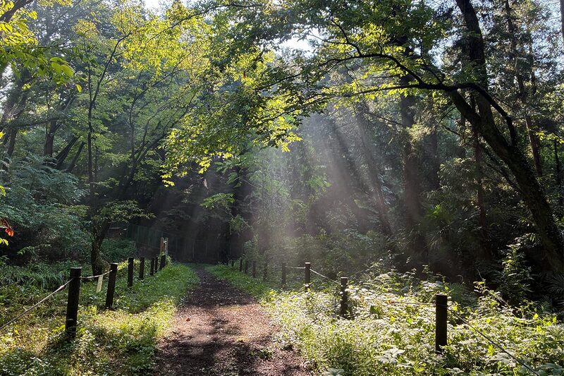 トトロの森 ナショナルトラスト運動