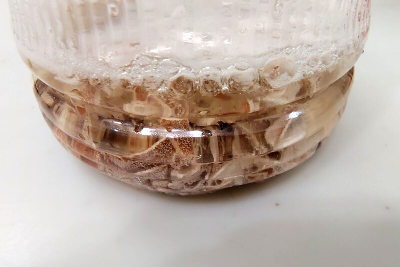 卵の殻 再利用・肥料