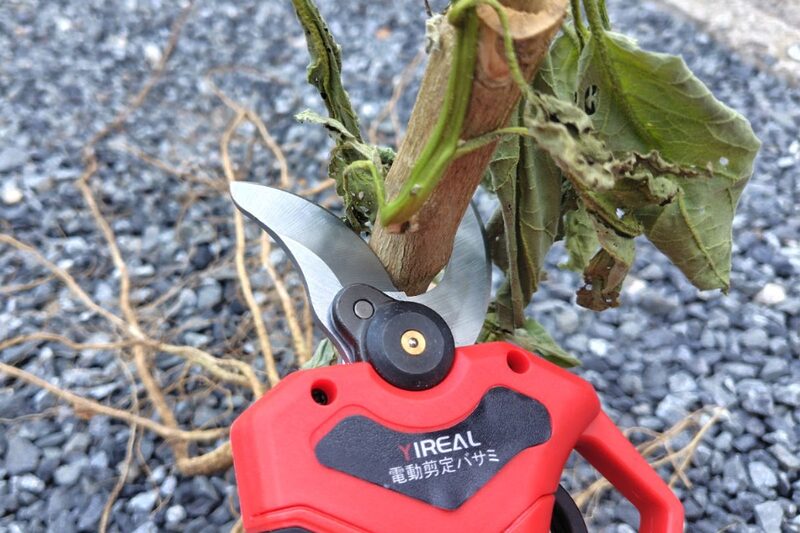 電動剪定バサミ 口コミ、電動剪定バサミ 使いやすい、家庭菜園 残渣処理