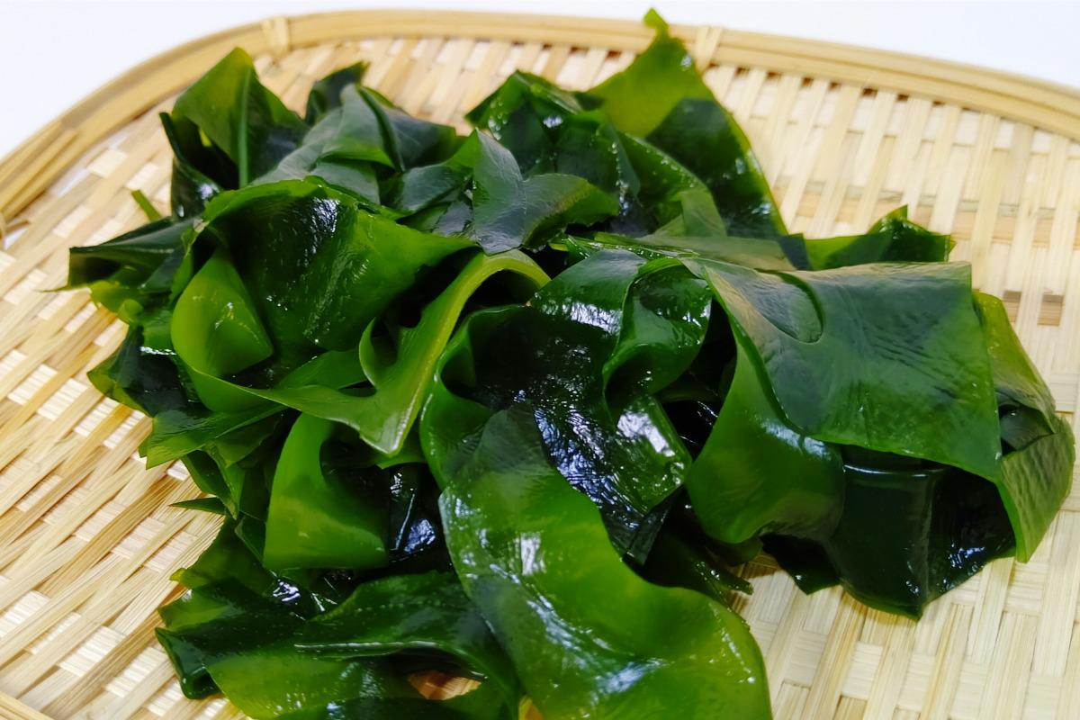 「海藻　栄養」「ワカメ　栄養」