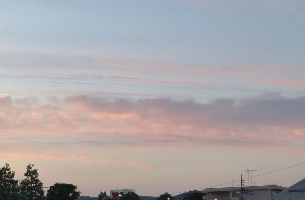 センス・オブ・ワンダー　意味　レイチェル・カーソン