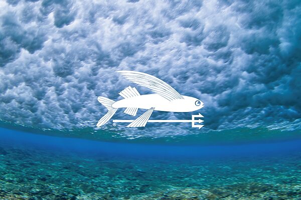 パタゴニア「オーシャンストア」誕生記念イベント10月4日(土)開催決定