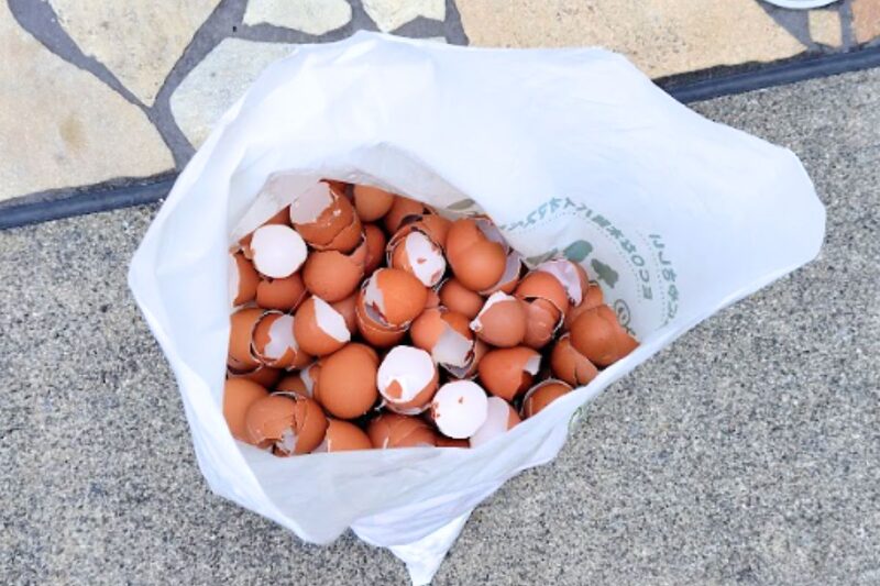 卵の殻 再利用・肥料