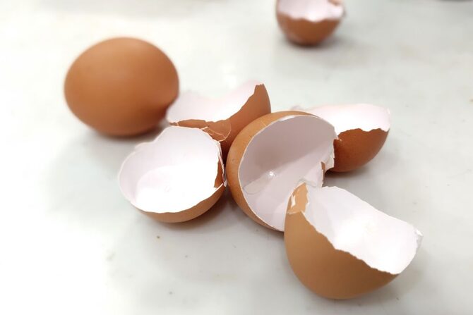卵の殻を家庭菜園で再利用｜肥料や堆肥にする3つの方法