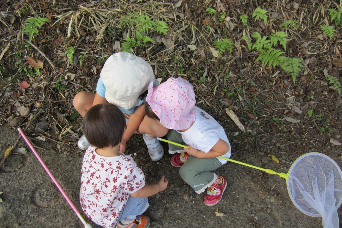 センス・オブ・ワンダー　意味　レイチェル・カーソン