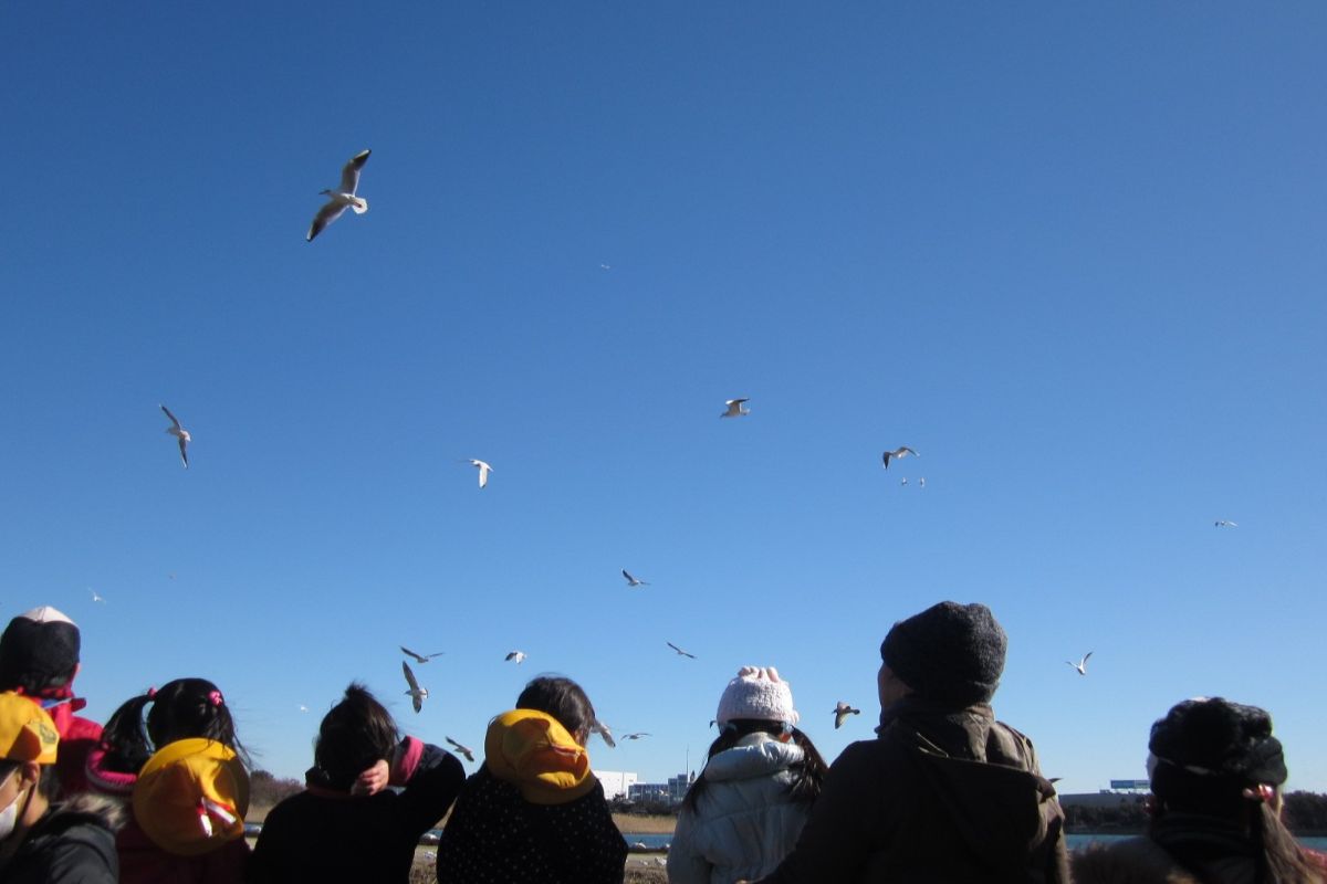 センス・オブ・ワンダー　意味　レイチェル・カーソン