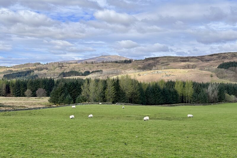 海外ホステル＆ドミトリー