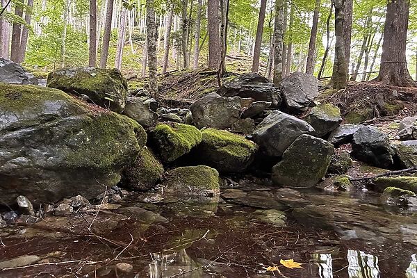 山の一滴は重い。登山者の「水」を考える