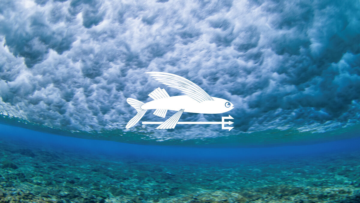 パタゴニア「オーシャンストア」誕生記念イベント開催決定