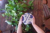 蜜蝋ラップの使い方ガイド「洗って繰り返し使える」捨てないラップで、エコな暮らしへ