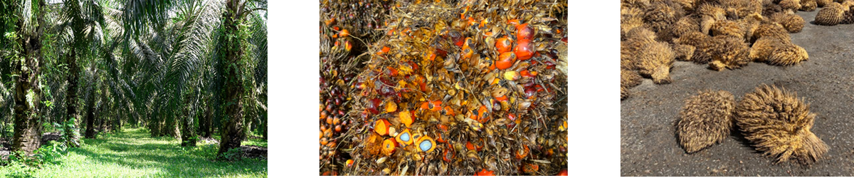 無印良品「レンジで使えるヤシの端材を使った食器」シリーズ新発売
