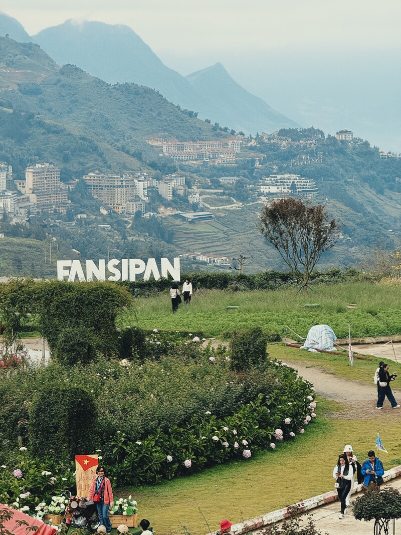 ベトナム・ファンシーパン