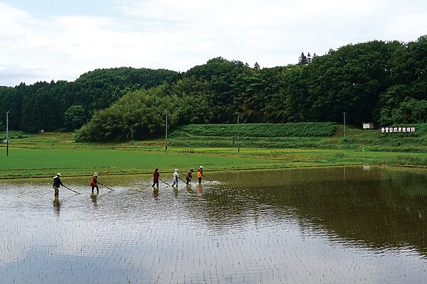 【パタゴニア】農業の未来を考える「リジェネラティブ・オーガニック 2025」開催