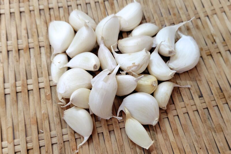 にんにく 植え付け、ニンニク栽培 プランター