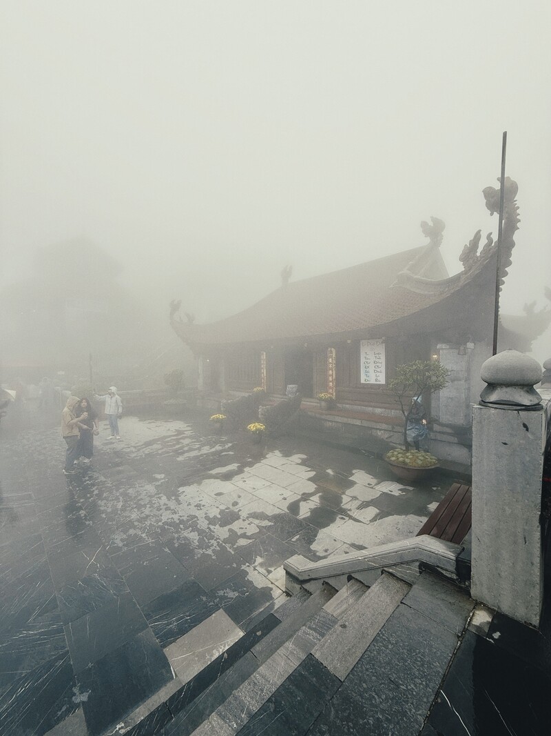 ベトナム・ファンシーパン