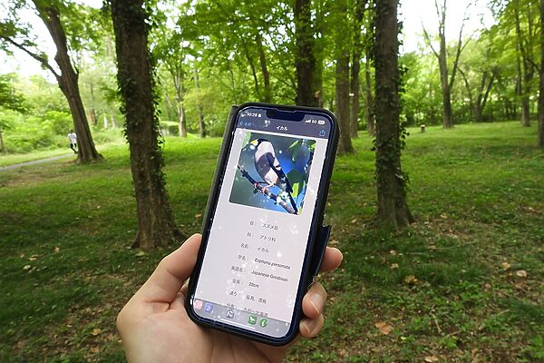 知る・聞く・記録する！3つのアプリではじめるバードウォッチング入門