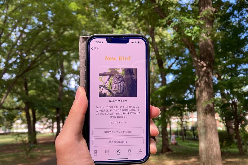 バードウォッチング アプリ