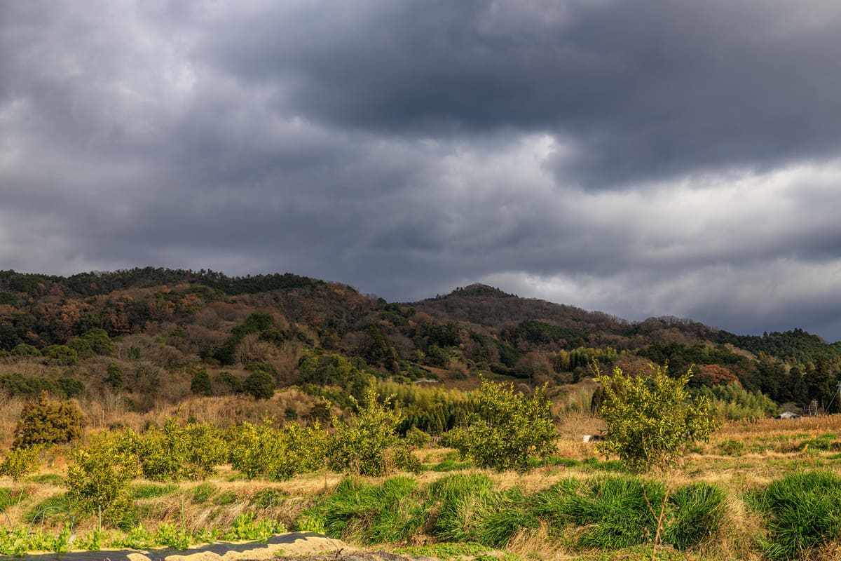 登山 雲 見分け方