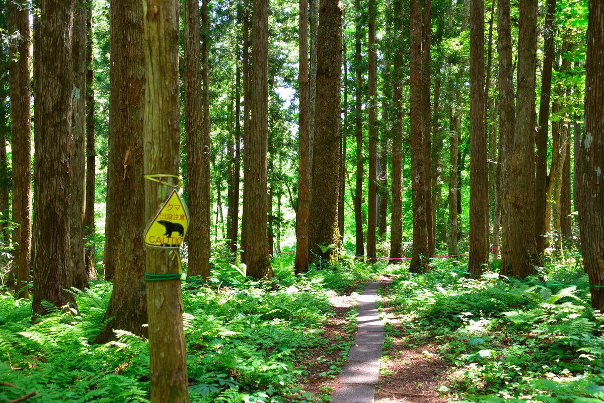 熊対策マニュアル　釣り