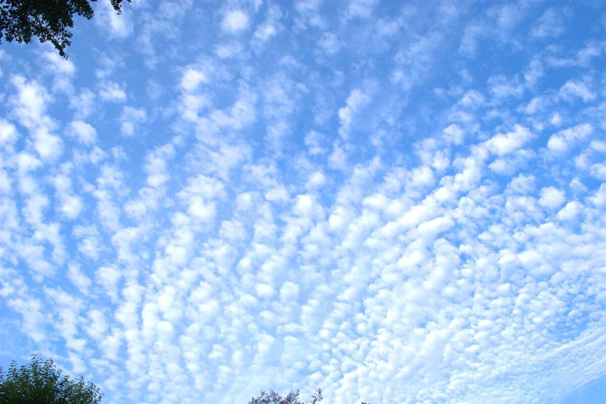 登山 雲 見分け方