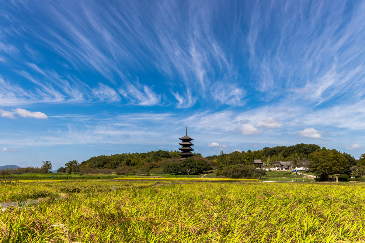 登山 雲 見分け方