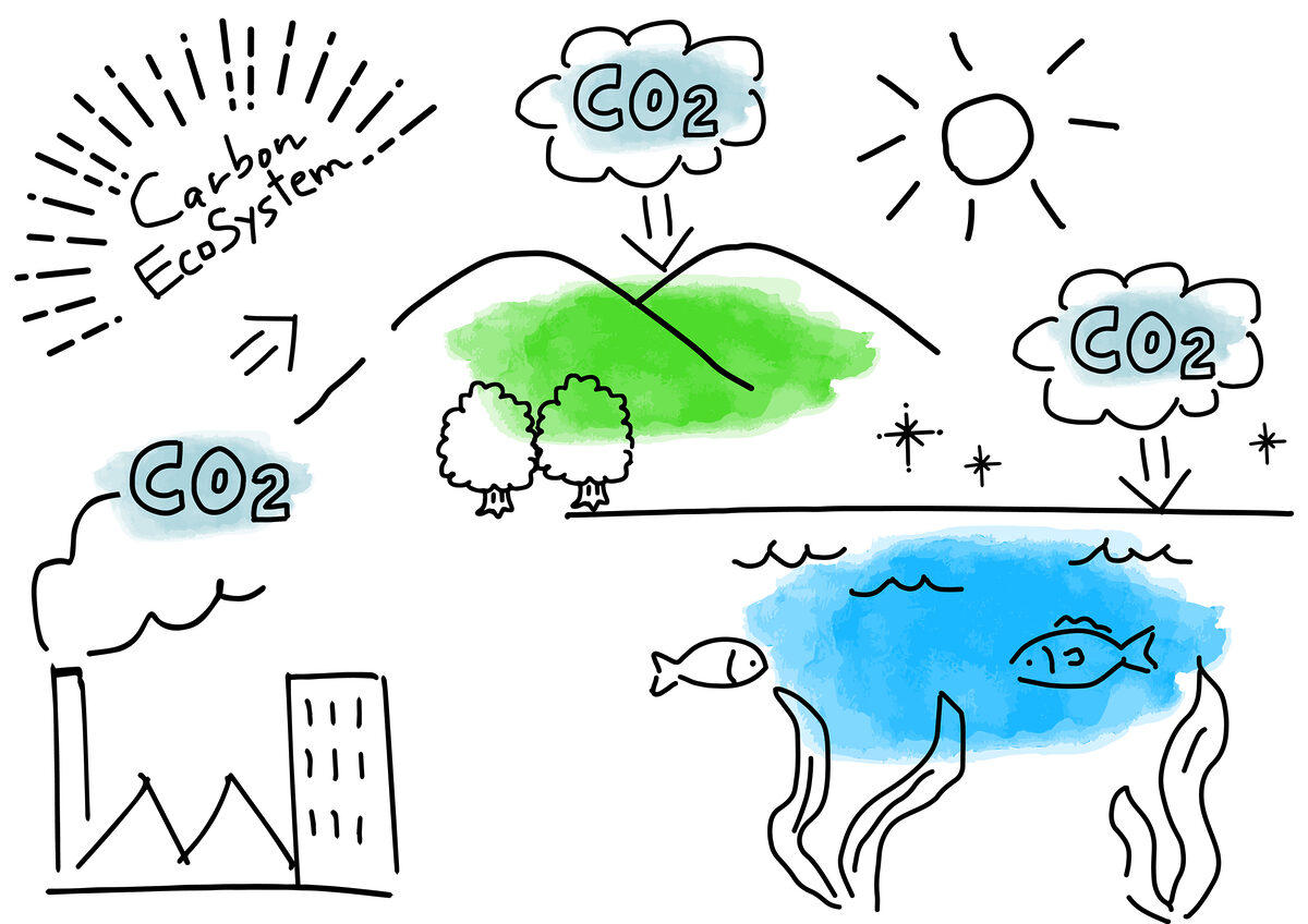カーボンニュートラル　企業　取り組み