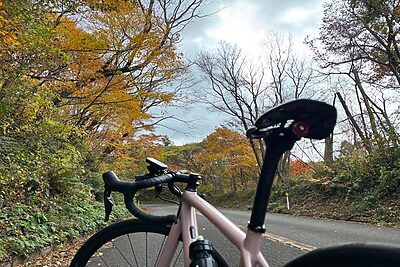 肩の力を抜いて季節と走る。ロードバイク“秋のご褒美ライド”のすすめ