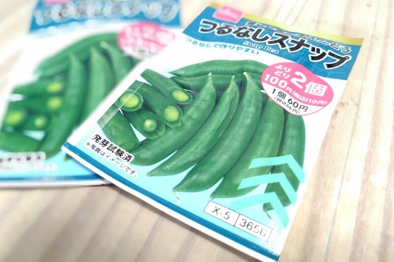 エンドウ 育て方、エンドウ 種まき