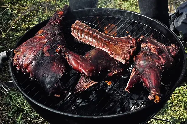 ジビエ文化から学ぶ。山の命の向き合い方と新たな循環のかたち