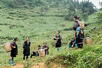 ベトナム・サパの山岳に続く暮らし──モン族に学ぶ“自然と共に生きる仕組み”