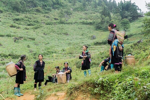 ベトナム・サパの山岳に続く暮らし──モン族に学ぶ“自然と共に生きる仕組み”