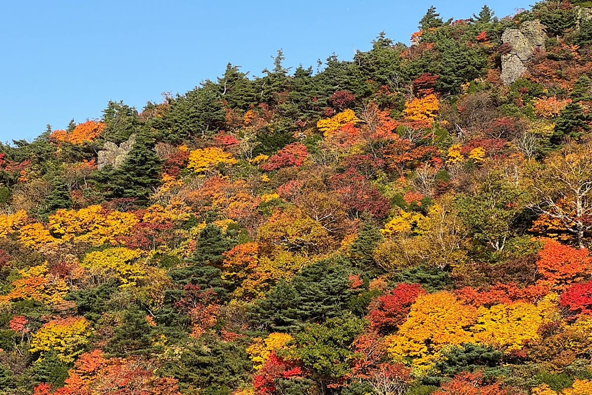 栗駒山　須川温泉