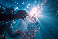 ダイバーとして一段ランクアップ！水中ゴミ拾いのコツと習慣化のポイント