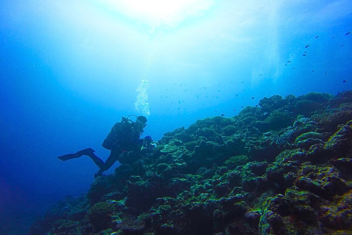 Underwater trash diver