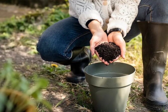 台所から始める“循環の暮らし”。家庭で減らす食品ロスとコンポスト入門